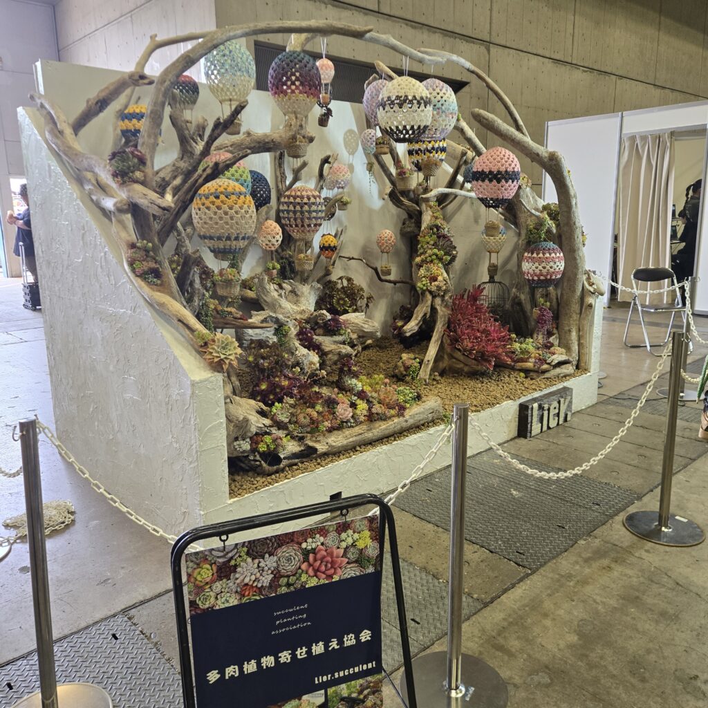 第8回花友フェスタ Lier.succlent